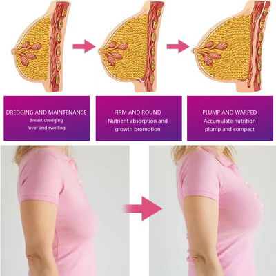 Papaya Breast Flavor Tea Breast Enhancement Rapido Crescimento Firming Durata di conservazione 24 mesi